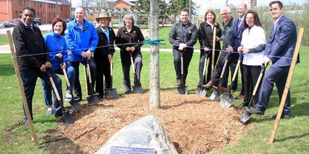 Canada 150 tree planting